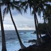 Sea, palm trees, clouds:  a Hawaiian dream.
