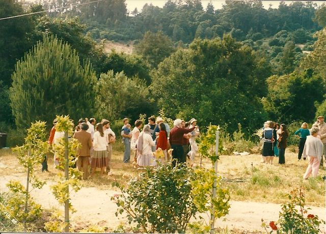1985-Tree Planting at Book Publishing Party