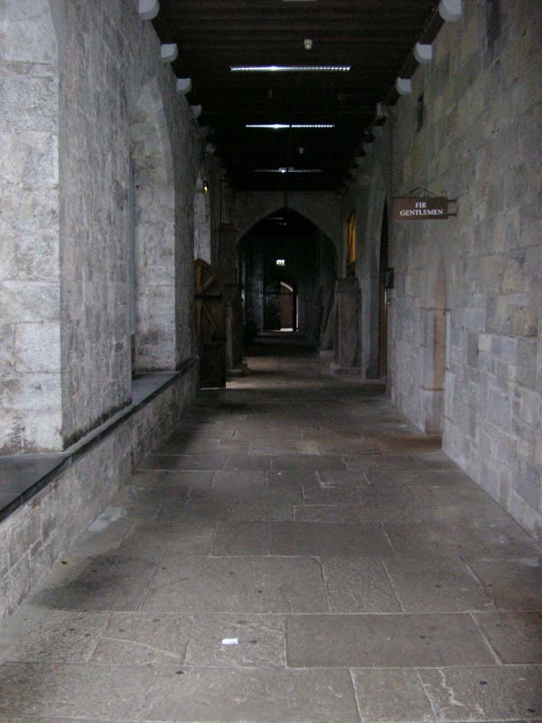 P7050035