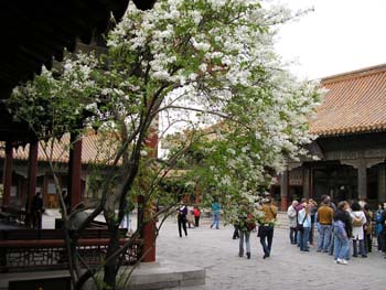 Beijing