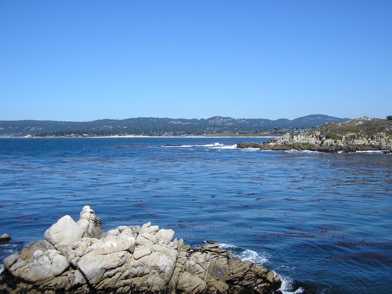 P9170083