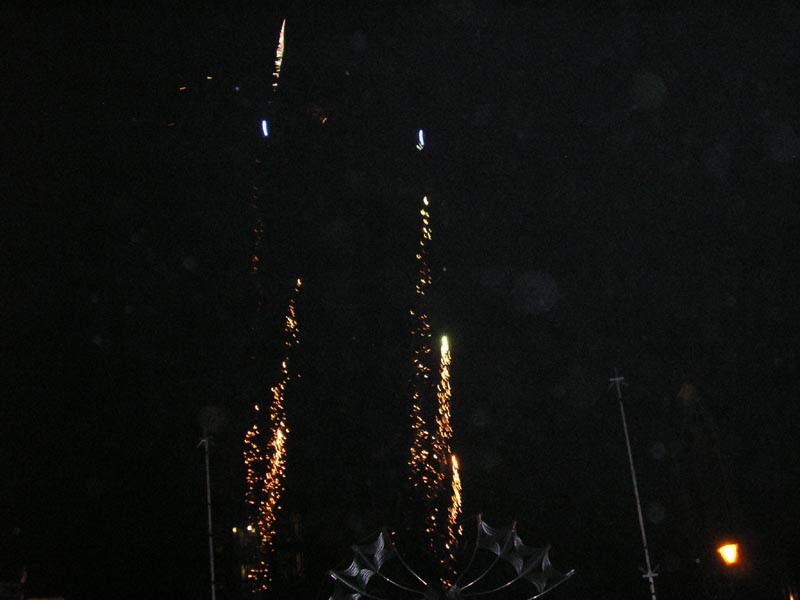 P1010037