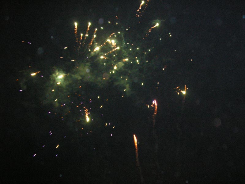 P1010043