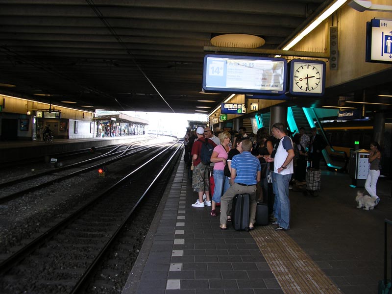 P6030015