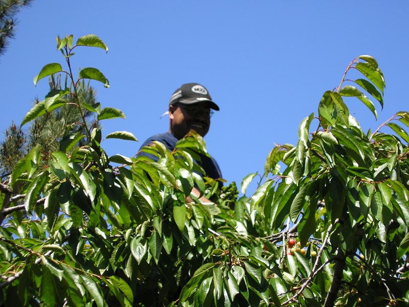 P6060026