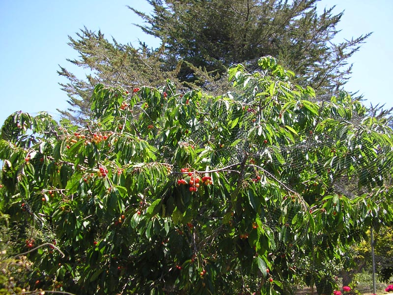 P6120031