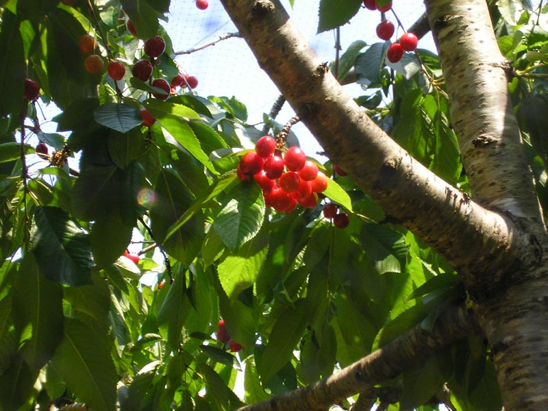 P6140038