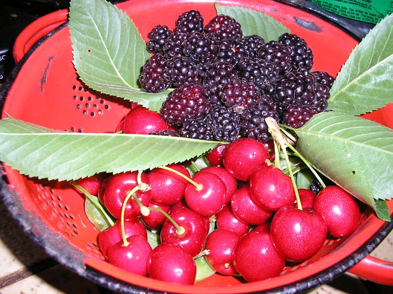 P6170040