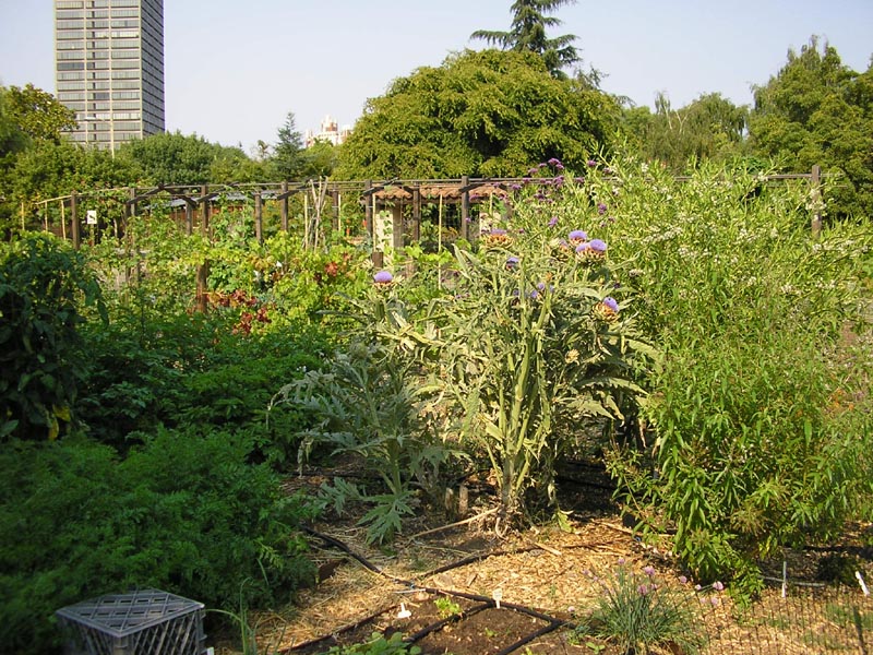 P7120060