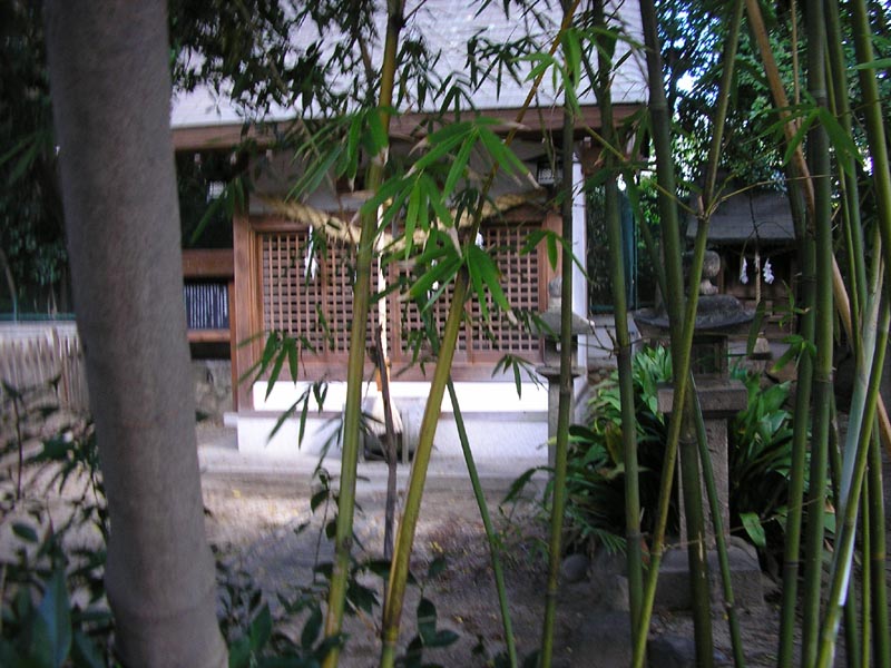 P8300020