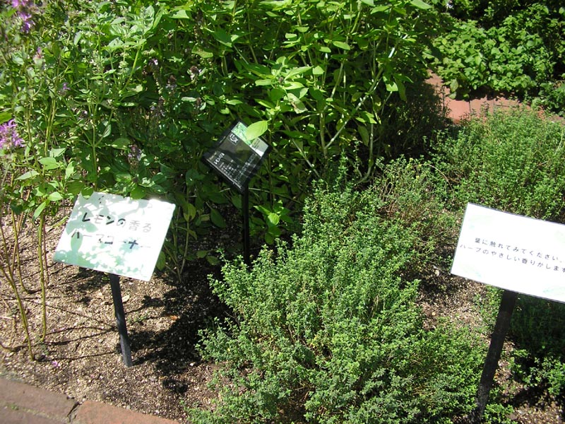 P8310061