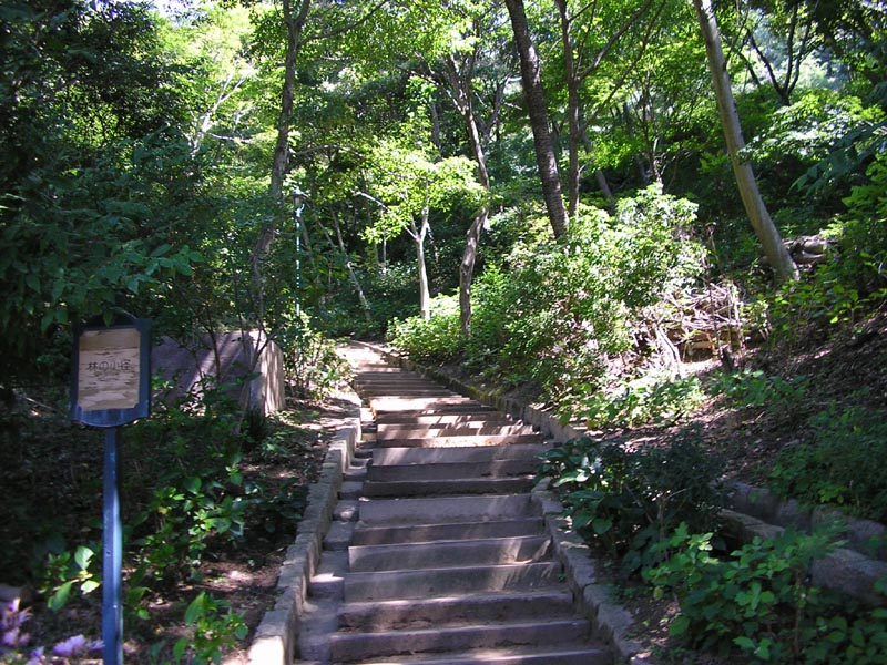 P8310066